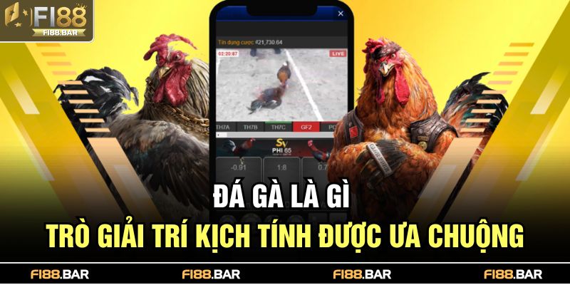 Đá gà là gì
