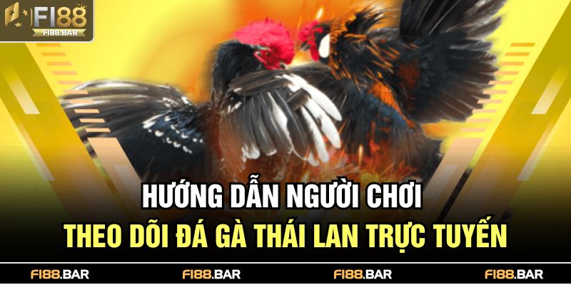 Hướng dẫn người chơi theo dõi đá gà Thái Lan trực tuyến