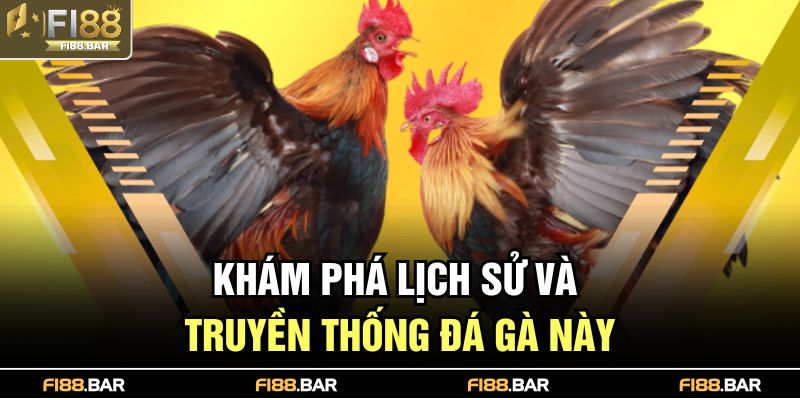 Khám phá lịch sử và truyền thống đá gà này